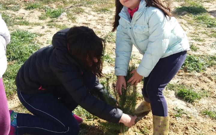 _Taller Medioambiental__007