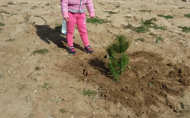 _Taller Medioambiental__008